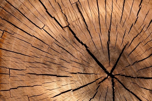 Difetti del legno per finestre