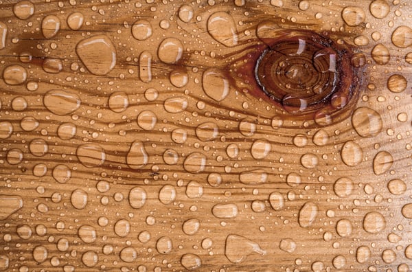 Umidità del legno per le finestre